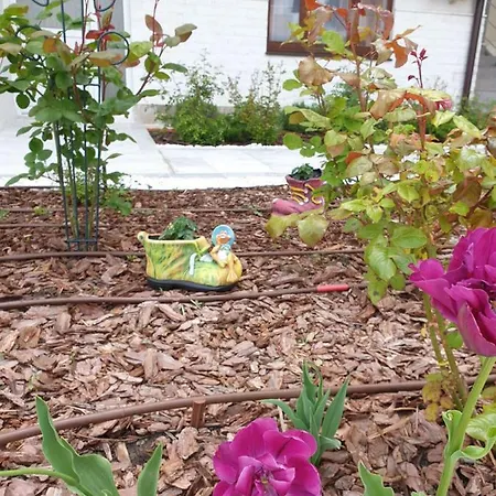 Emerald Hills Отель Созополь