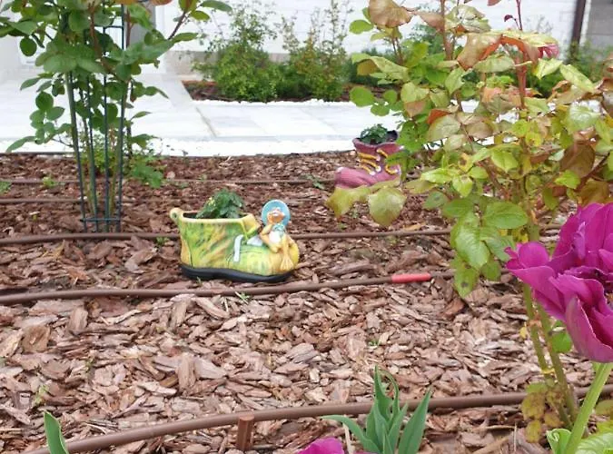 Emerald Hills 酒店 索佐波尔