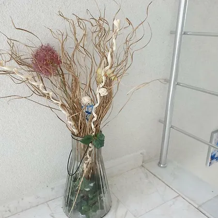 فندق Emerald Hills سوزوبول